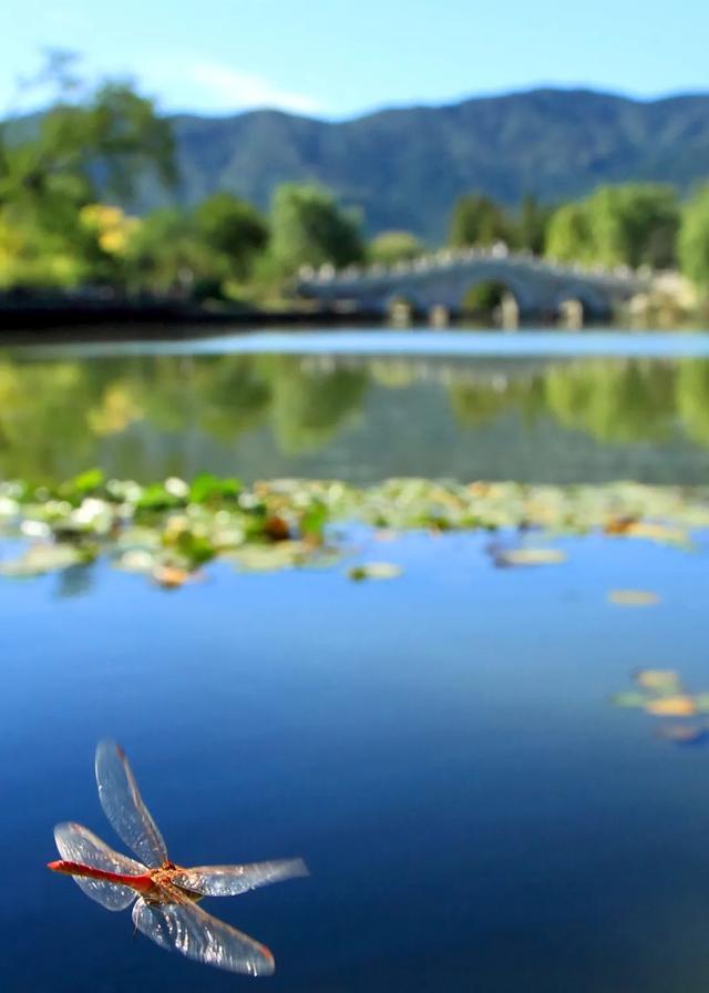 今日大暑丨迎風(fēng)沐雨，憧憬未來(圖5)