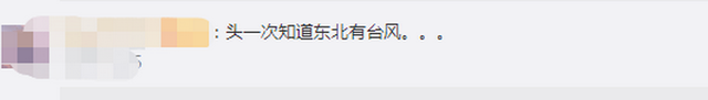 臺(tái)風(fēng)“美莎克”致吉林玉米大面積倒伏，像棉被一樣鋪在地上，減產(chǎn)已成定局(圖2)